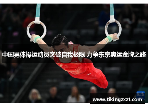 中国男体操运动员突破自我极限 力争东京奥运金牌之路