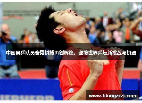 中国男乒队员奋勇拼搏再创辉煌，迎接世界乒坛新挑战与机遇